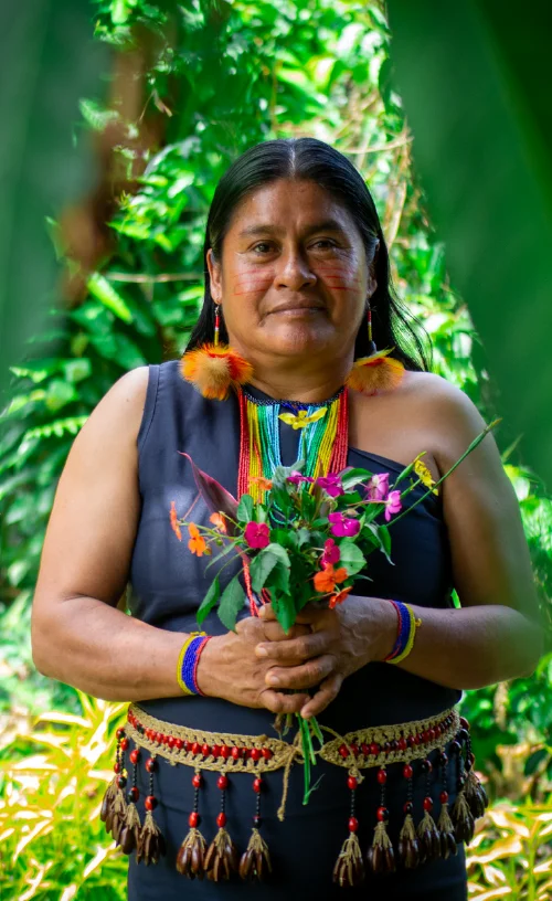 Mujeres restaurando bosques
